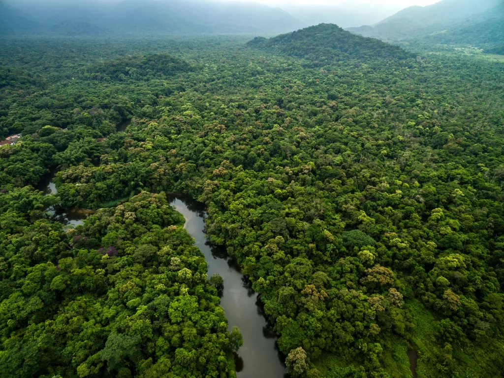Aerial View of River in Rainforest, Amazon, Latin America