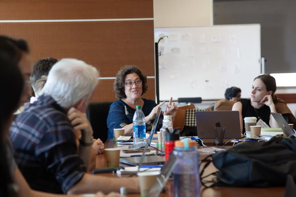 Sonia Jorge speaks in a meeting with other research grantees